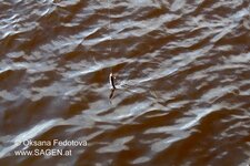 Fishing_3.jpg