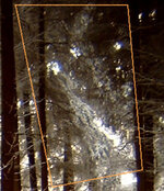 groÃŸer waldgeist.jpg