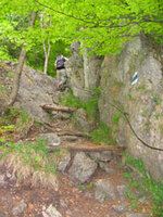 Brennersteig.jpg