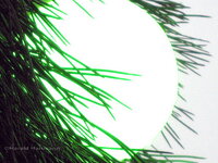 Ratebild_14_05.jpg