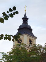Ratebild_15062016_2.jpg