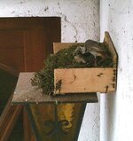 nest  (7).jpg