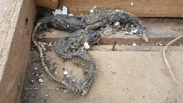 20171012_113951.jpg