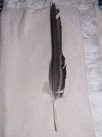 DSCF4674.JPG