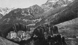 img706-1.jpg
