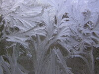 Ratebild_2_20110216.jpg