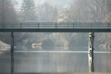 IMG_0087.JPG