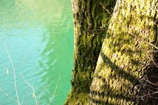 IMG_0099.jpg
