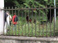 Ratebild_20110308.jpg