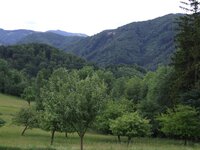 DSCF4179 - Kopie.JPG