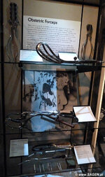 Obstetric_Forceps.jpg
