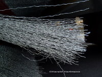 Ratebild_20110404.jpg