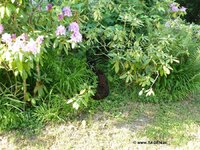 Suchbild_Loesung_21_05_2011.jpg