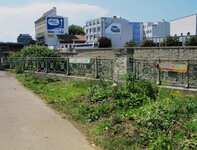IMG_6549.jpg
