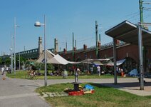 IMG_6554.JPG