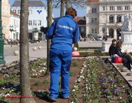 Fruehling_Tulln_Hauptplatz_07_R.jpg