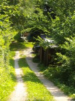 DSC05062.JPG