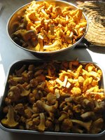 IMG_4897.jpg