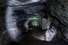 IMG_0310.jpg