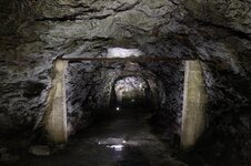 IMG_0317.jpg