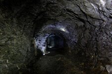 IMG_0352.jpg