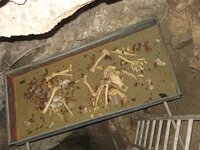 HÃ¶hle Bild 079.jpg