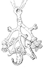 IMG_1852.jpeg