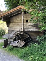 IMG_7147.jpeg