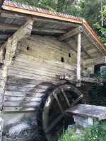 IMG_7146.jpeg