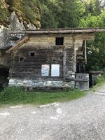 IMG_7145.jpeg