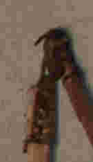 RB3.jpg
