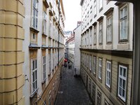IMG_9236.JPG