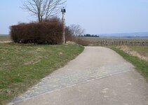 Die Alte Kuh - Kirche Hl. Katharina 097.jpg Die Alte Kuh - Kirche Hl. Katharina 097.jpg
