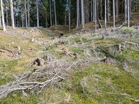 Pingen am Gipfelbereich.jpg