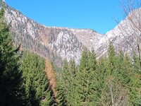 Blick zur Schneealpe.jpg