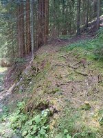 Steig zum Hampestollen.jpg