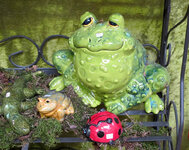 Frosch.jpg
