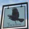 Jackdaw