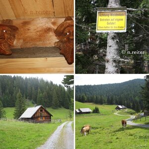 Hölleralm