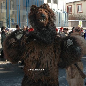 Bär in Tirol