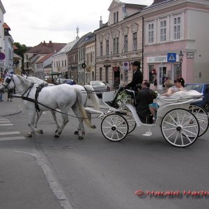 Hochzeitskutsche