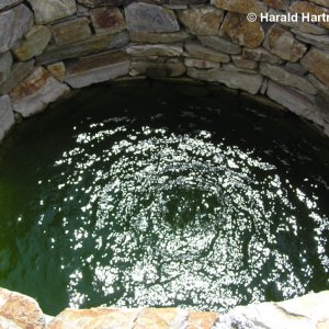 im Wasser ist Leben