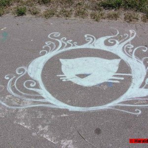Asphaltkatze