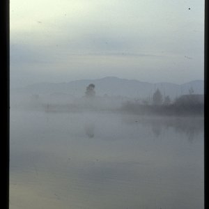 Wallersee, Salzburg