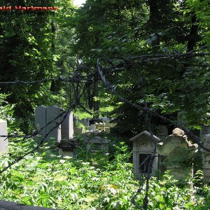 Jüdischer Friedhof 1