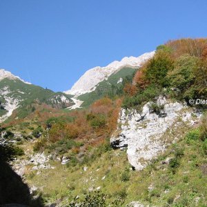 Quellgebiet in der Arzler Scharte