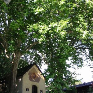 Innsbruck/Arzl - Mariahilf-Kapelle