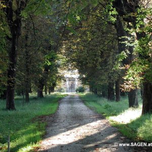 Allee Schloß Neu-Wartenburg