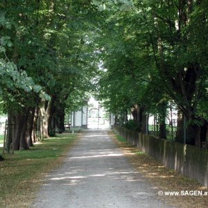 Allee Schloss Kammer