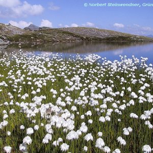 Bergsee beim Kirschentörl